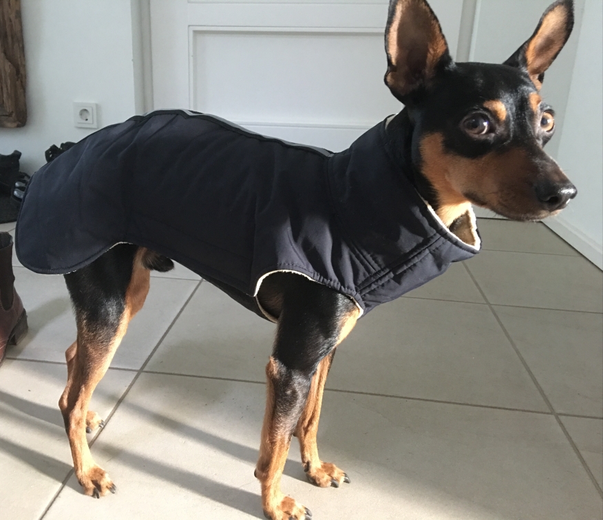 Hundewintermantel