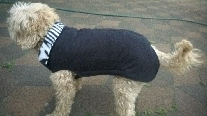 Thermo-Hundemantel, Hundemantel Maßanfertigung,  Hundemantel nach Maß