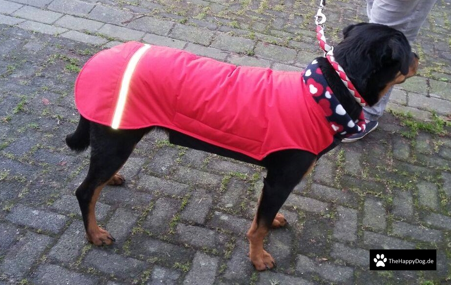 Thermo-Hundemantel, Hundemantel Maßanfertigung,  Hundemantel nach Maß