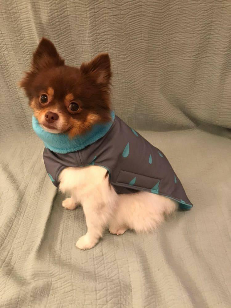 Softshell-Hundemantel, Hundemantel Maßanfertigung,  Hundemantel nach Maß
