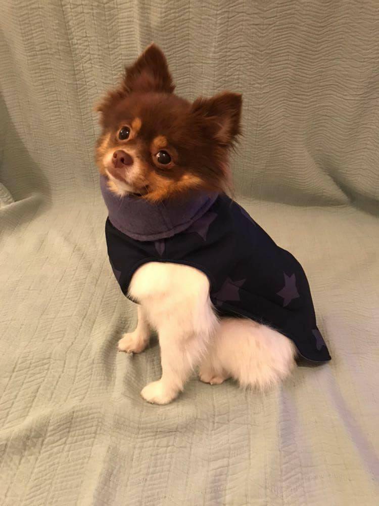 Softshell-Hundemantel, Hundemantel Maßanfertigung,  Hundemantel nach Maß