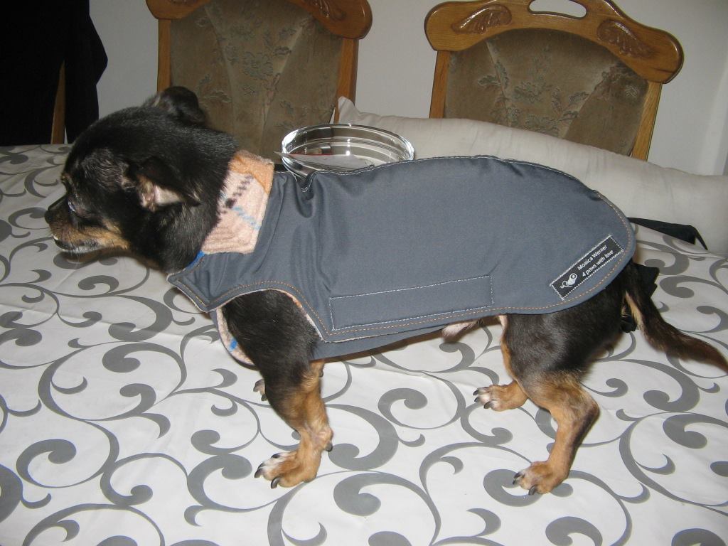 Thermo-Hundemantel, Hundemantel Maßanfertigung,  Hundemantel nach Maß