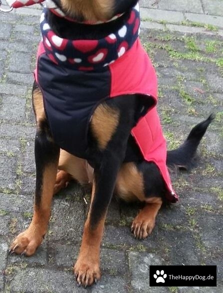 Thermo-Hundemantel, Hundemantel Maßanfertigung,  Hundemantel nach Maß
