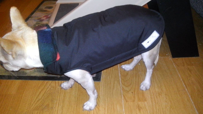 Thermo-Hundemantel, Hundemantel Maßanfertigung,  Hundemantel nach Maß
