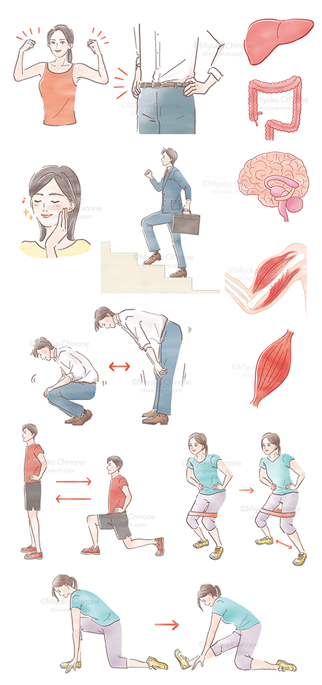 健康コラムの挿絵