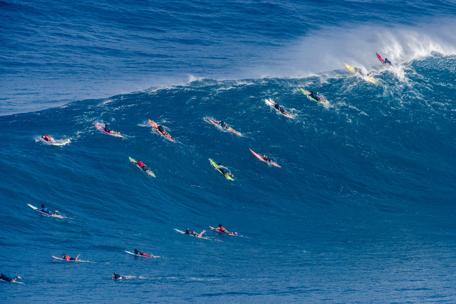 Surf line up cheap