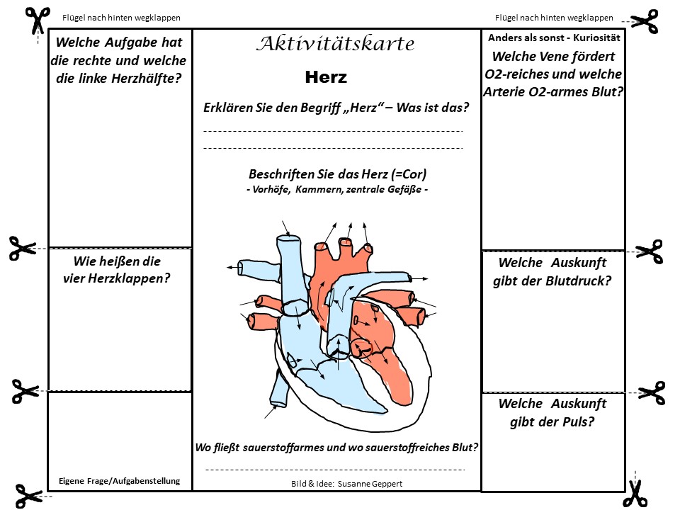 Aktivitätskarte "Herz"