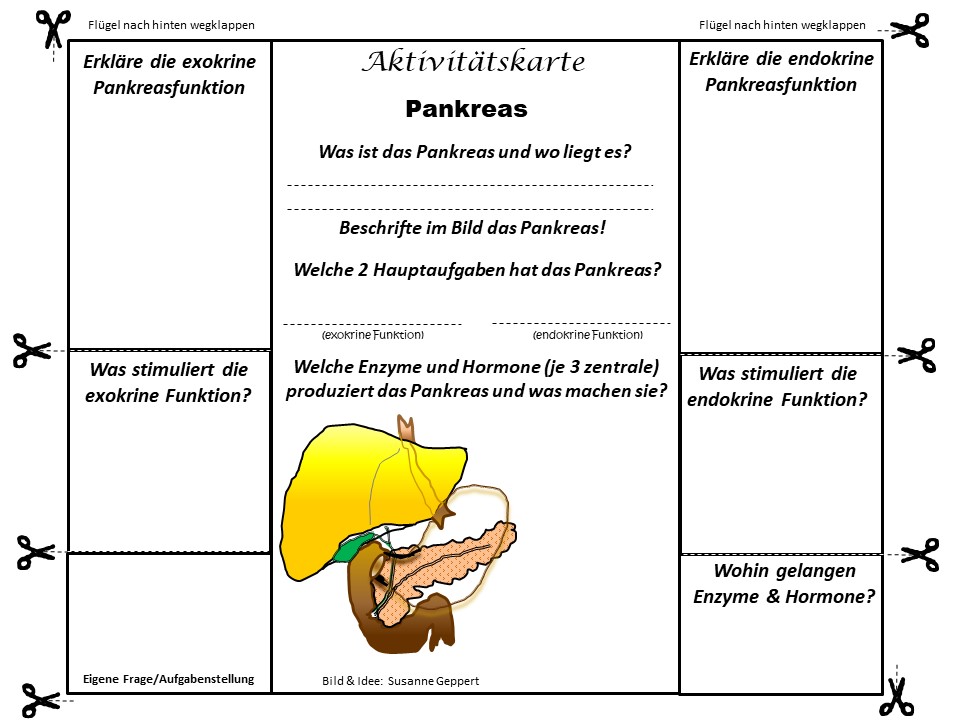 Aktivitätskarte "Pankreas"