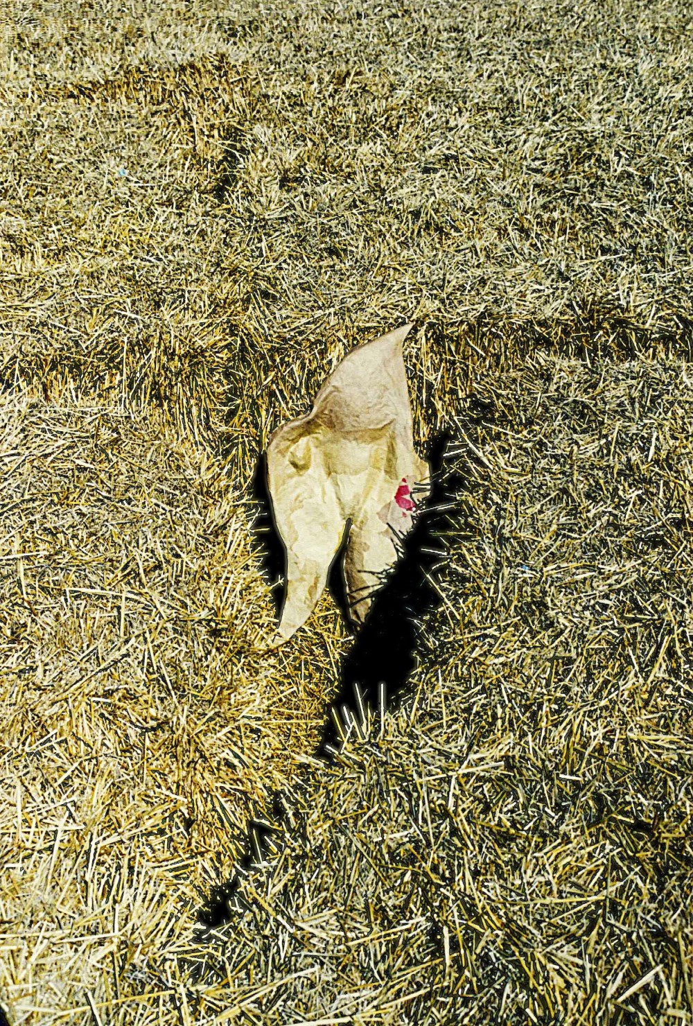 Auf dem Feld 2