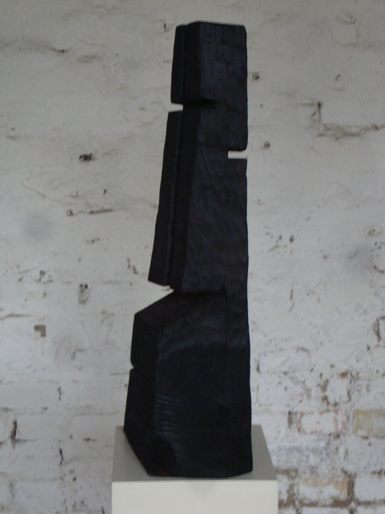 schwarzkreuz; pappel, feuer