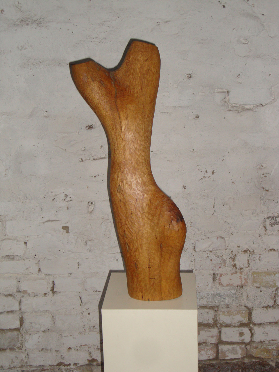 torso II; eiche