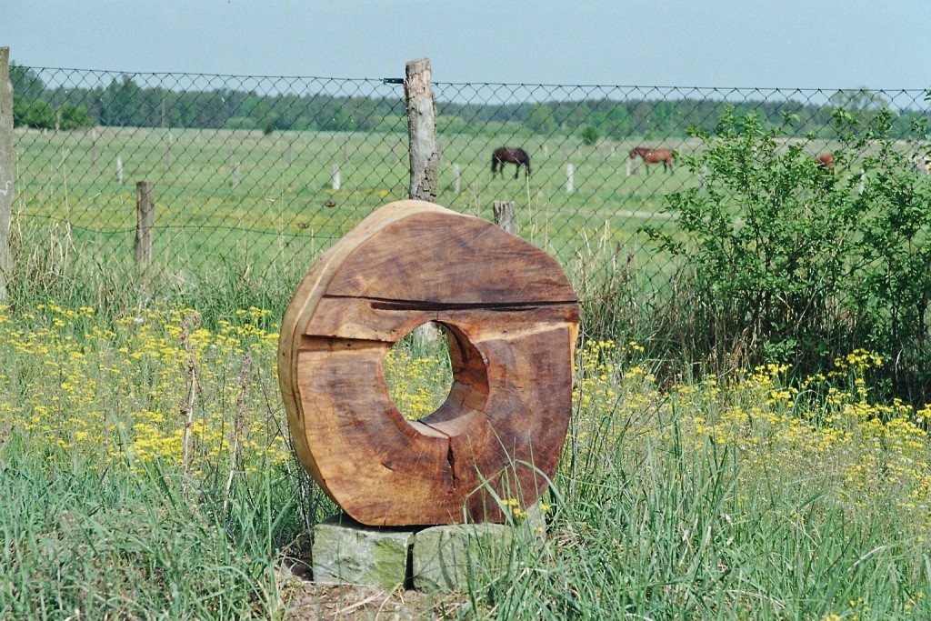 großer durchblick; kastanie