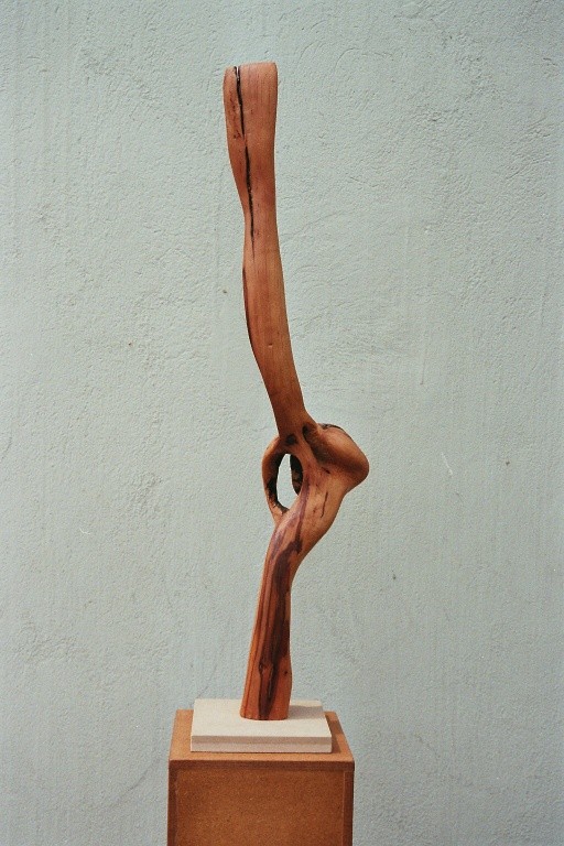 torso (schwimmer); buche