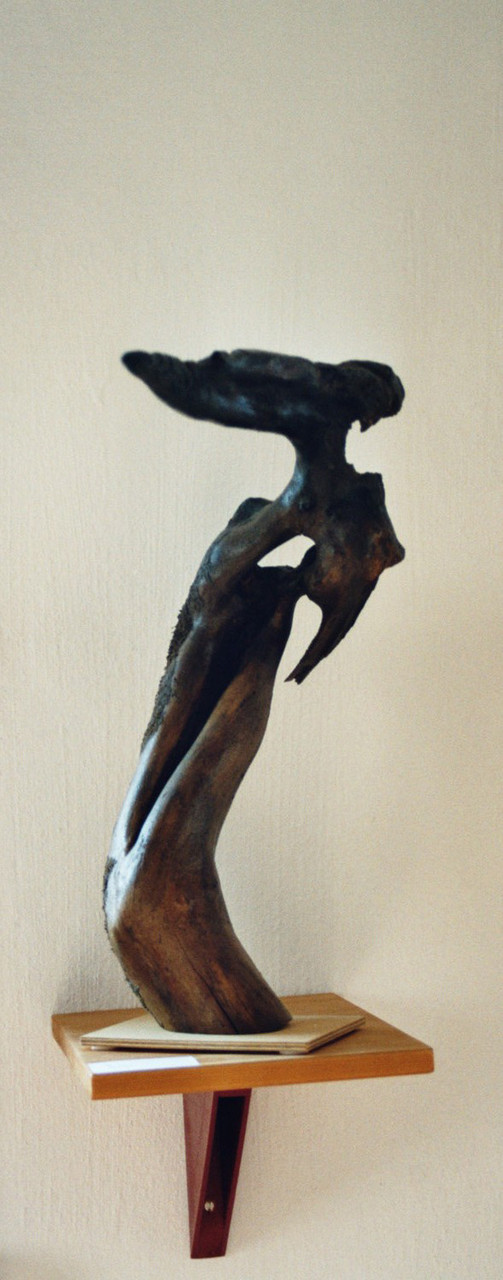 phönix I; buche, feuer