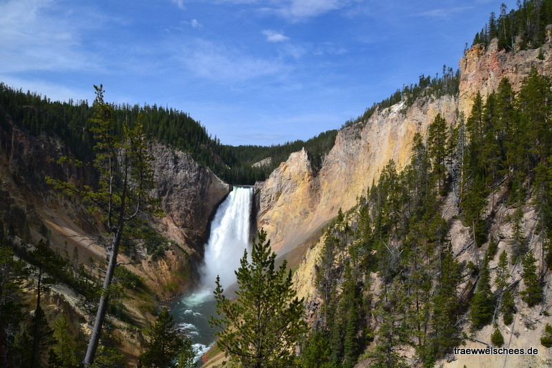 Lower Falls