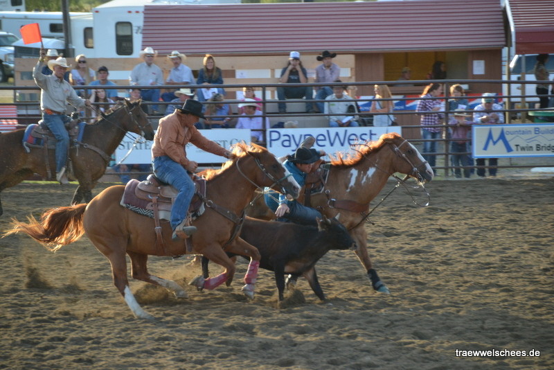 Team Roping