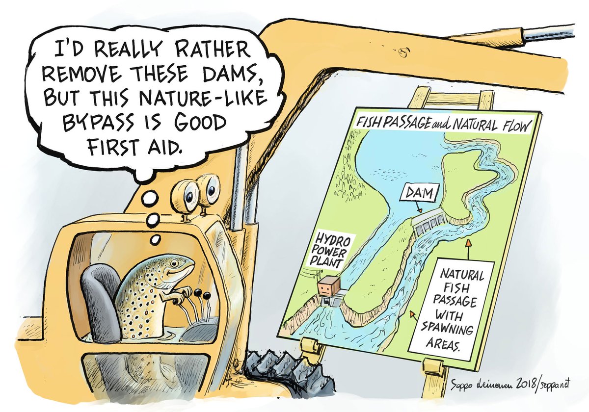 Downstream fish migration at hydropower plants Seilrechen