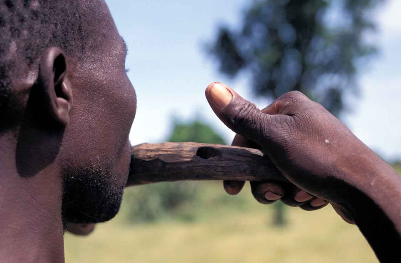 Tour de jeu antérieur - Dyan - Burkina Faso. © P. Kersalé 2000-2024.