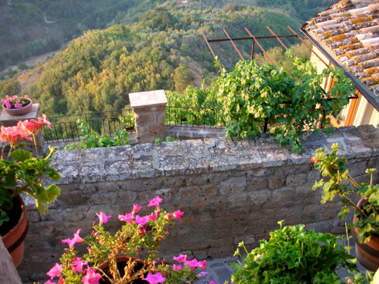 view from bedroom window towards the garden