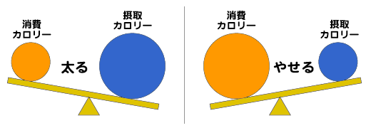 犯人はカロリー 再掲 シャキット 札幌にあるレッドコード完備のフィットネス