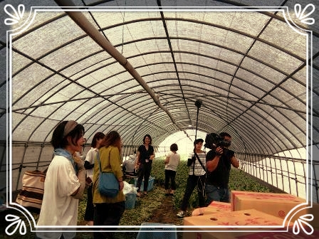 ’18.8 はぴふぁむ研修ﾁｰﾑ「ﾁｰﾑFarmingｷﾗｽｷ☆」