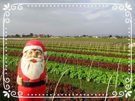 ’16.11 冬の風景クリスマスver.