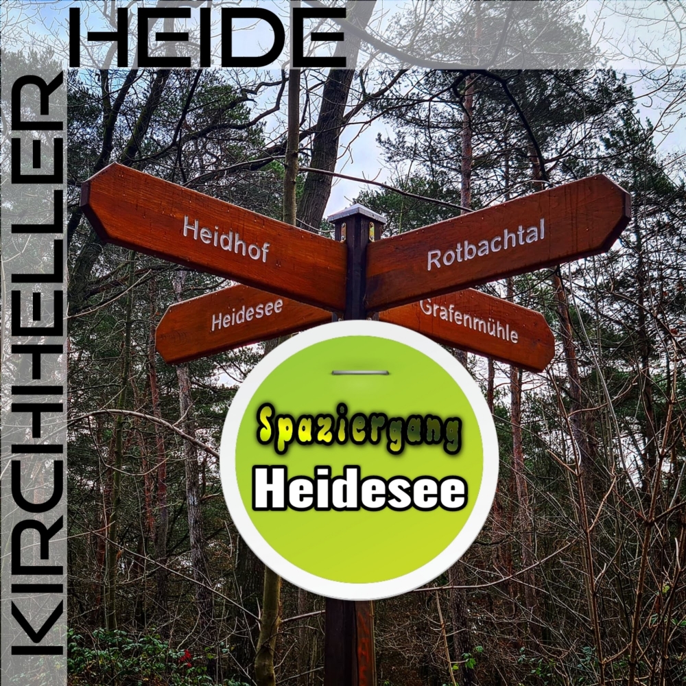 Spaziergangsklassiker! Der Heidesee in der Kirchheller Heide.