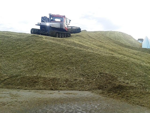 Pistenbully in seinem Element