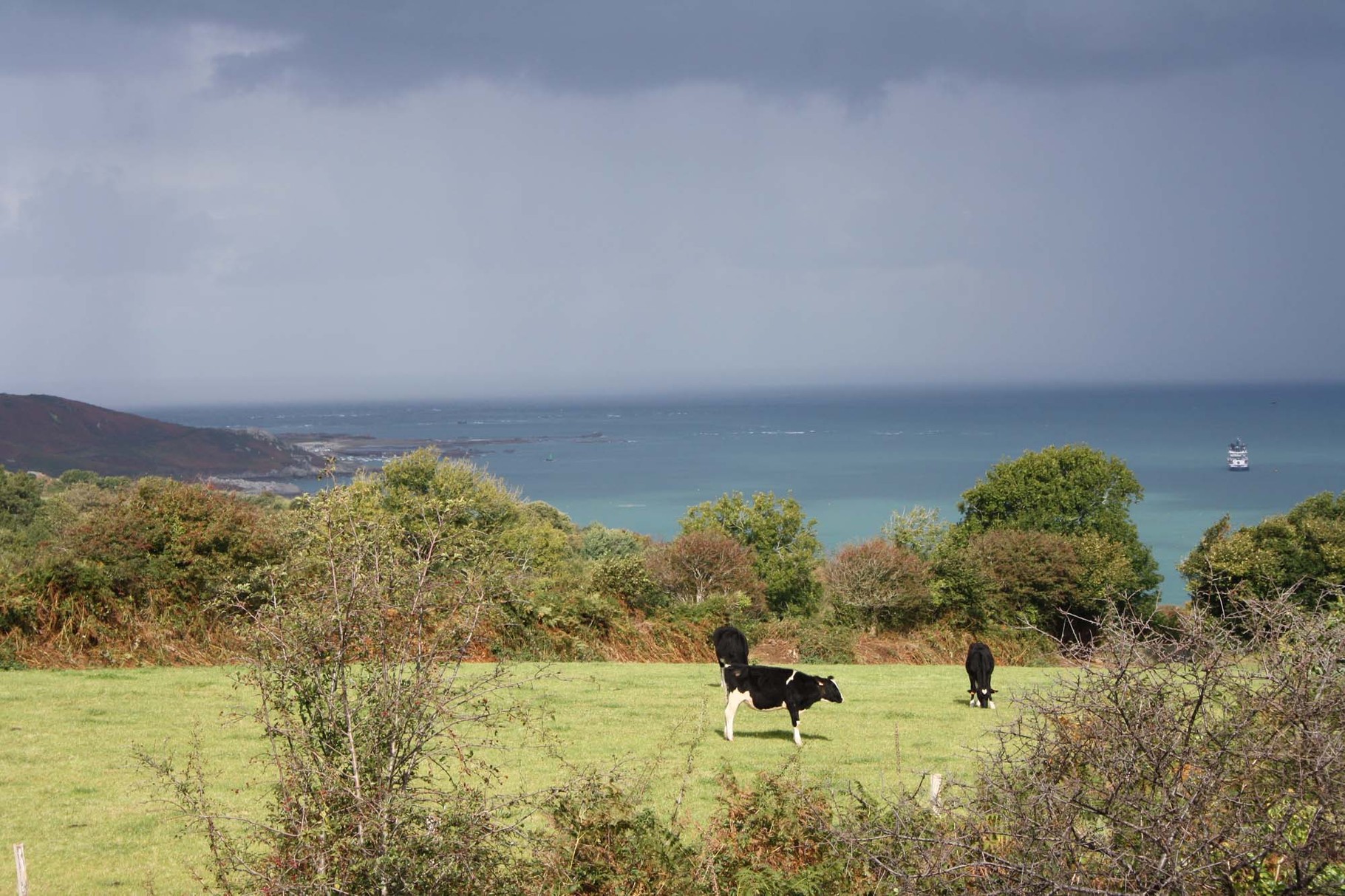 Vue sur le port d'Omonville-la-Rogue