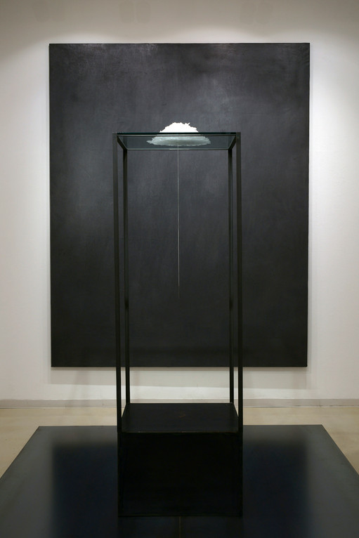 Janus hiroko ogawa