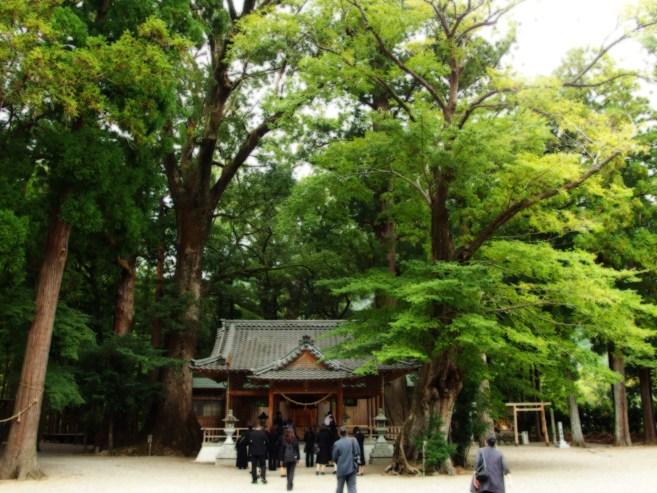 三重県松阪市 水屋神社 2013/10/1 