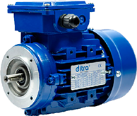 motor Ditra