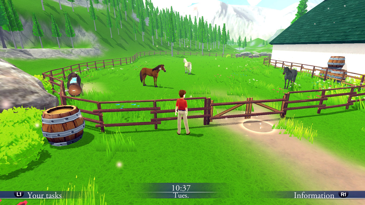 Screenshot: Mein Gestüt - Ein Leben für die Pferde