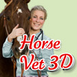 Title Info Graphic Horse Vet 3D