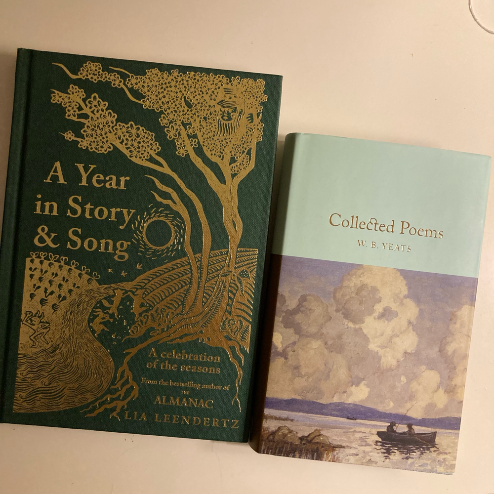 雨宿り中の本屋さんで見つけた本(左) イェイツ記念館で購入した詩集(右)(英語で詩を楽しめるようになりたいという期待をこめて)