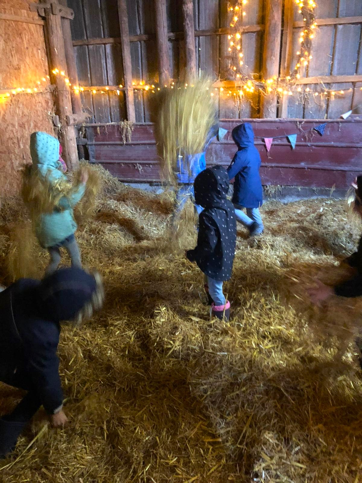 Anmeldung - OGGS Stockelsdorf