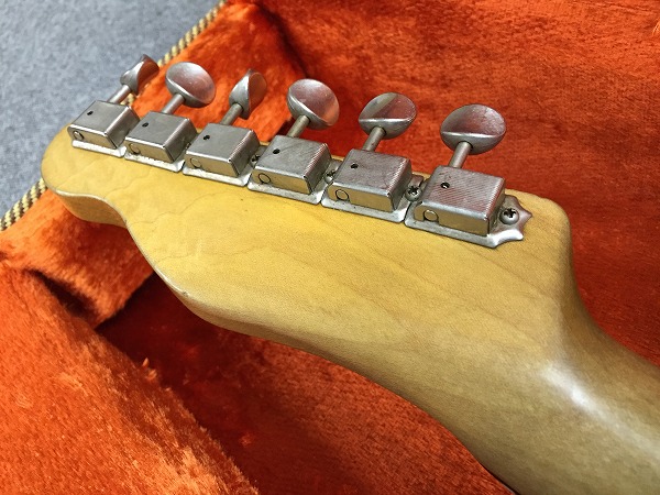 Danocaster telecaster Freakin logo Olympic White - fat