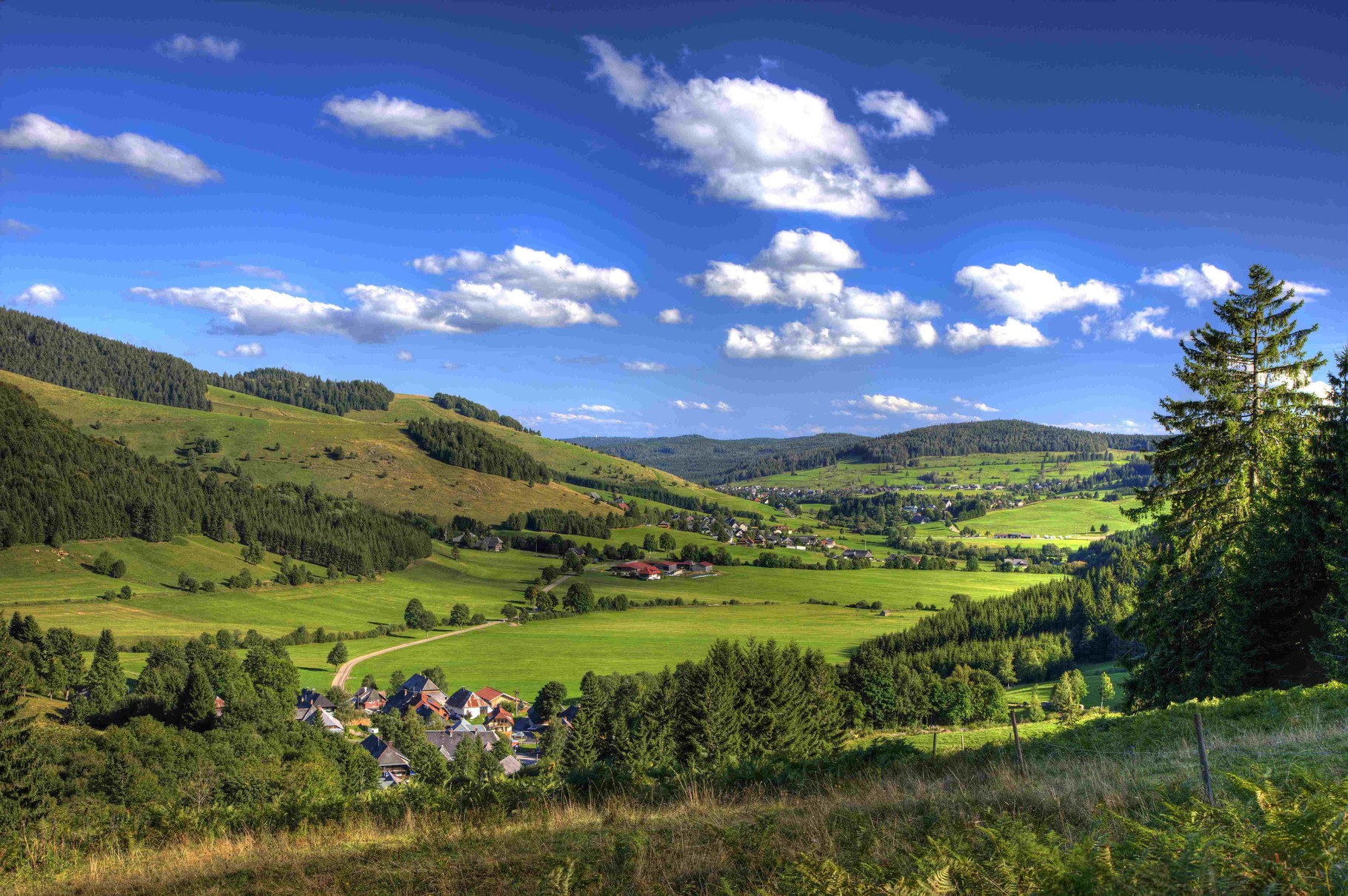 Discover the Black Forest with it`s biggest waterfalls in Germany, Titisee, "Vogtsbauernhöfe" or biggest cuckoo clock on earth