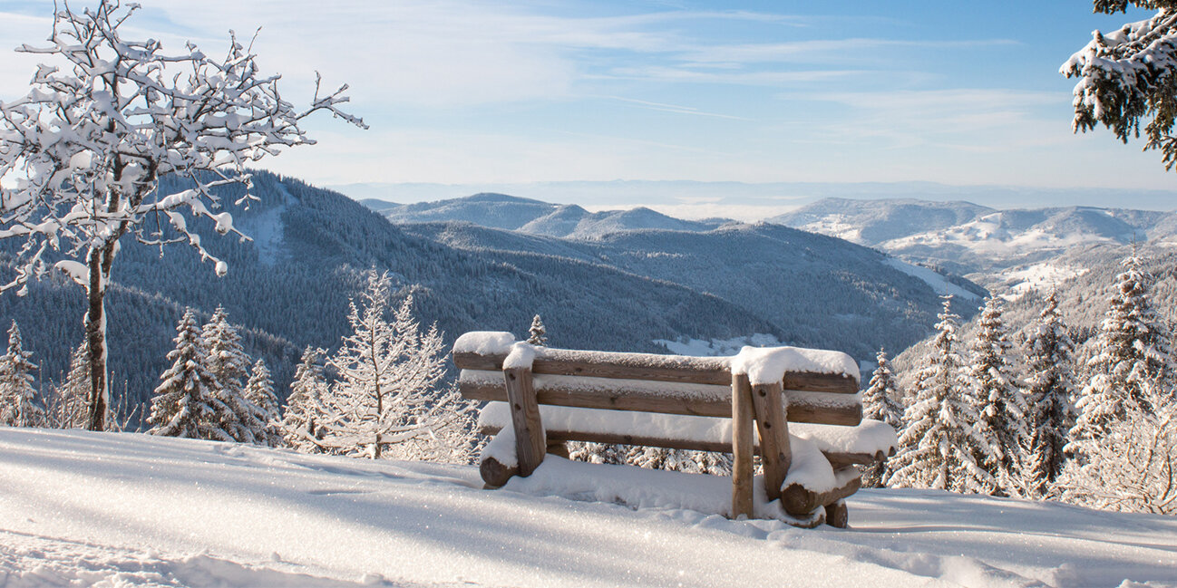 Schwarzwald pur auch im Winter