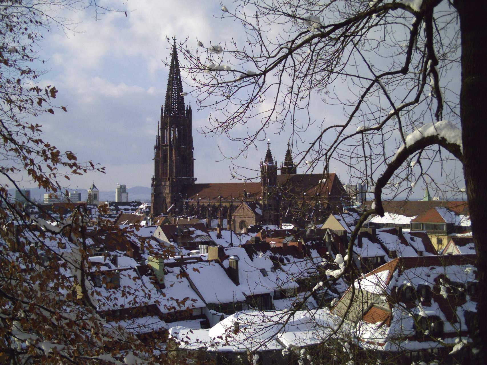 Freiburg im winterlichen Gewand
