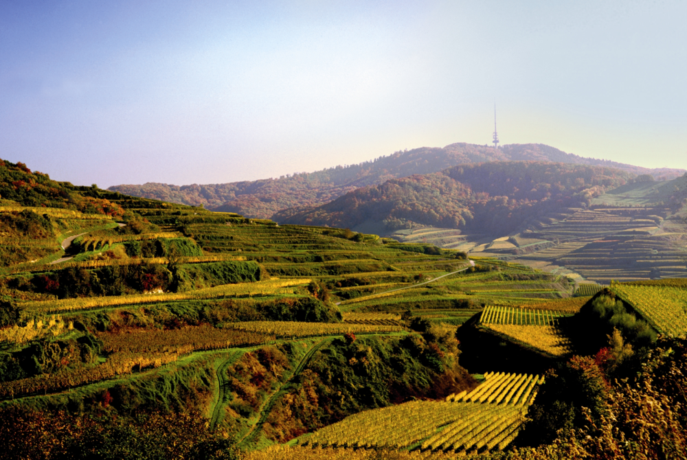Wine region around the "Kaiserstuhl"