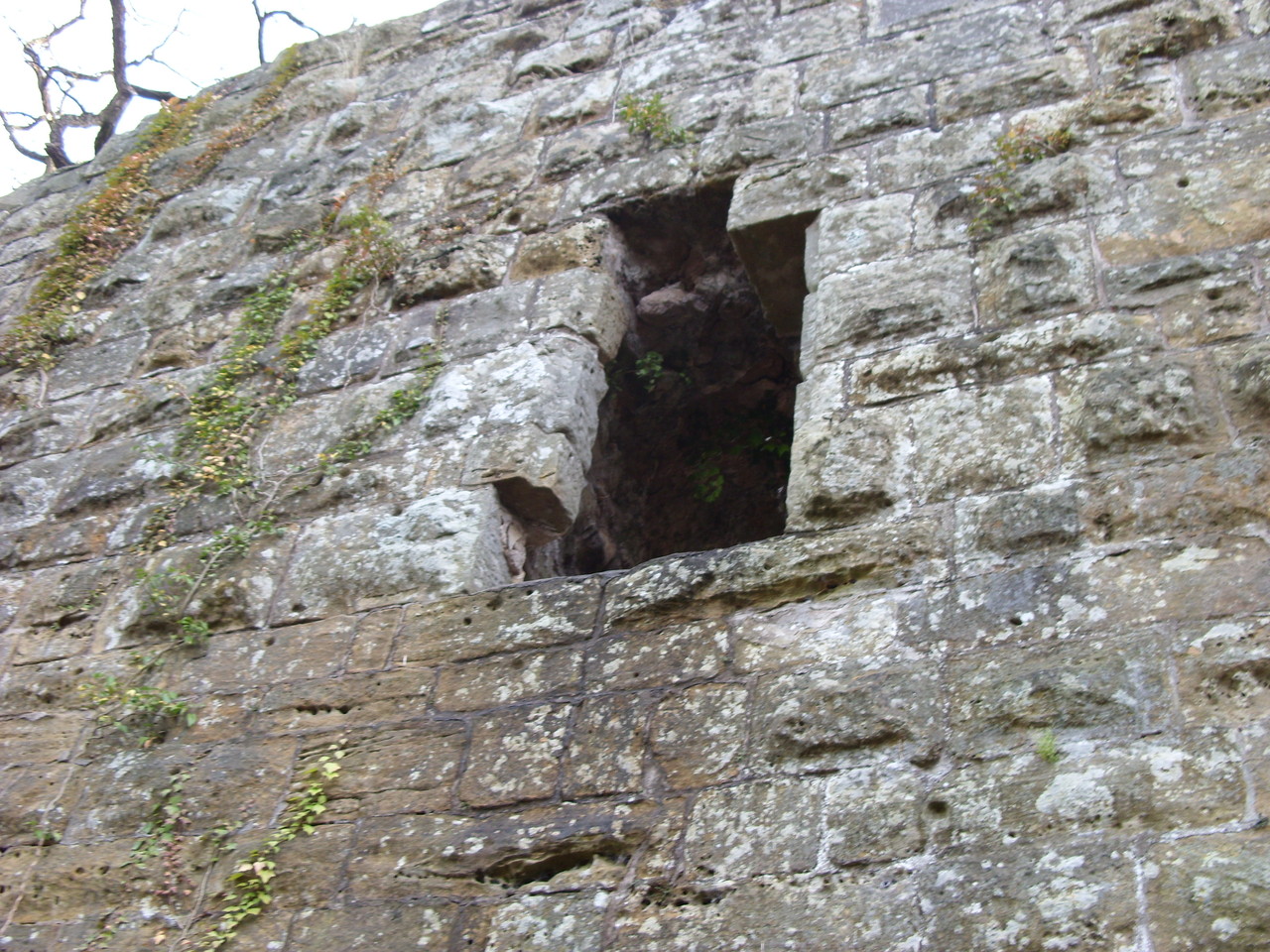 Palasfenster