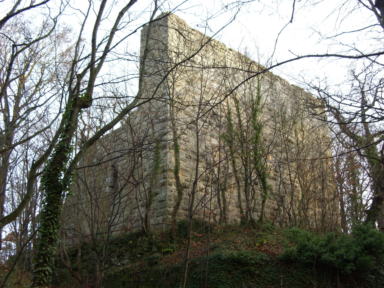 Burg  mit Schildmauer von Süd-West
