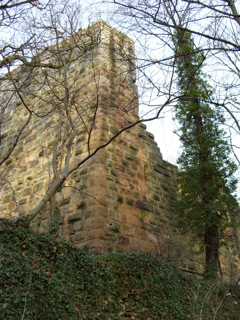 Burg mit Schildmauer von Süd-Ost