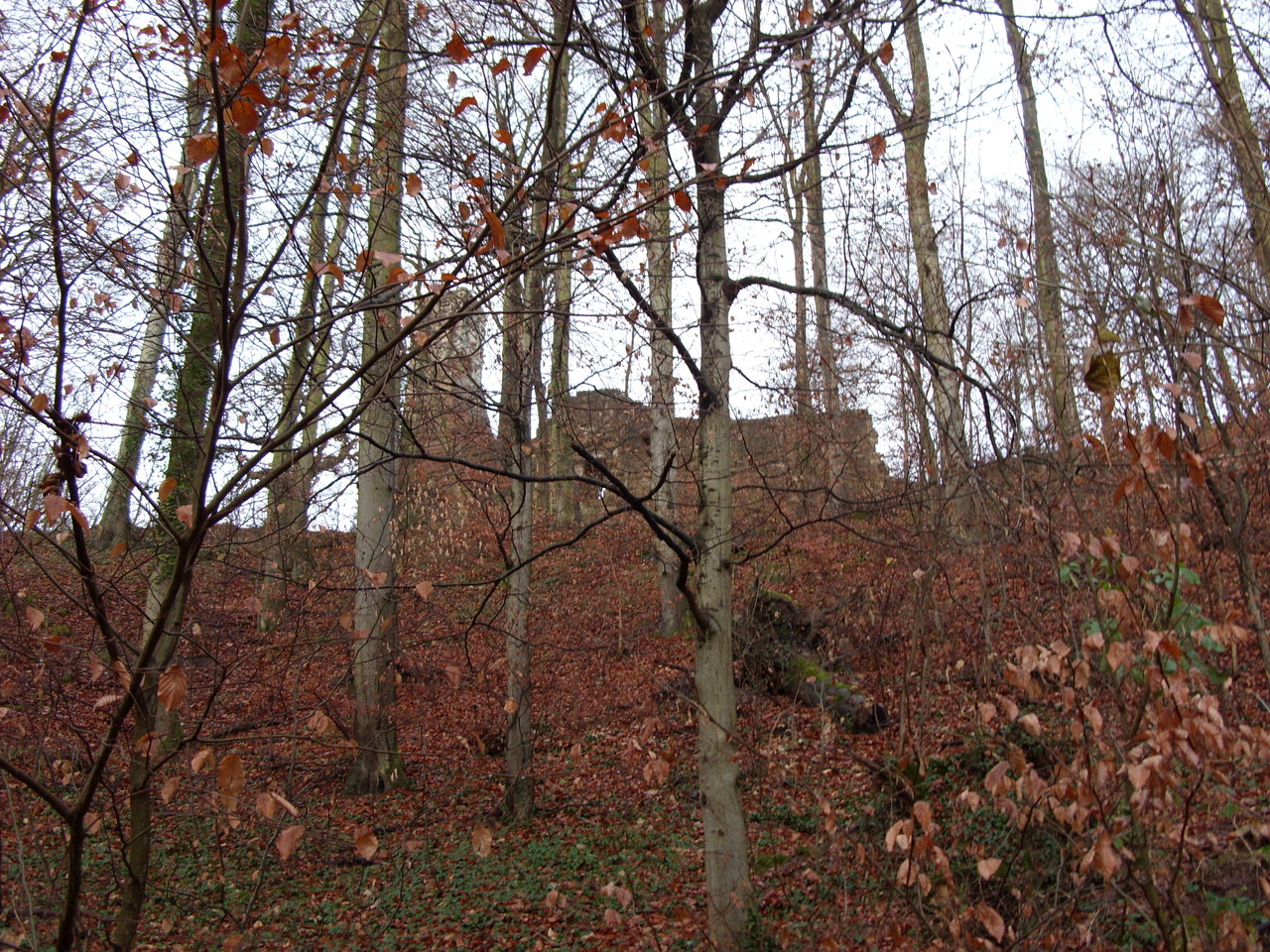 Burg von Ost, Ansicht vom alten Burgweg von Eibensbach her