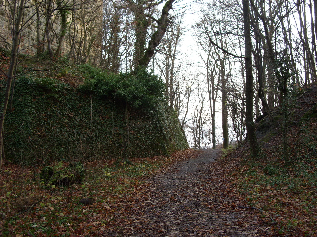 hinterer Halsgraben mit Futtermauer