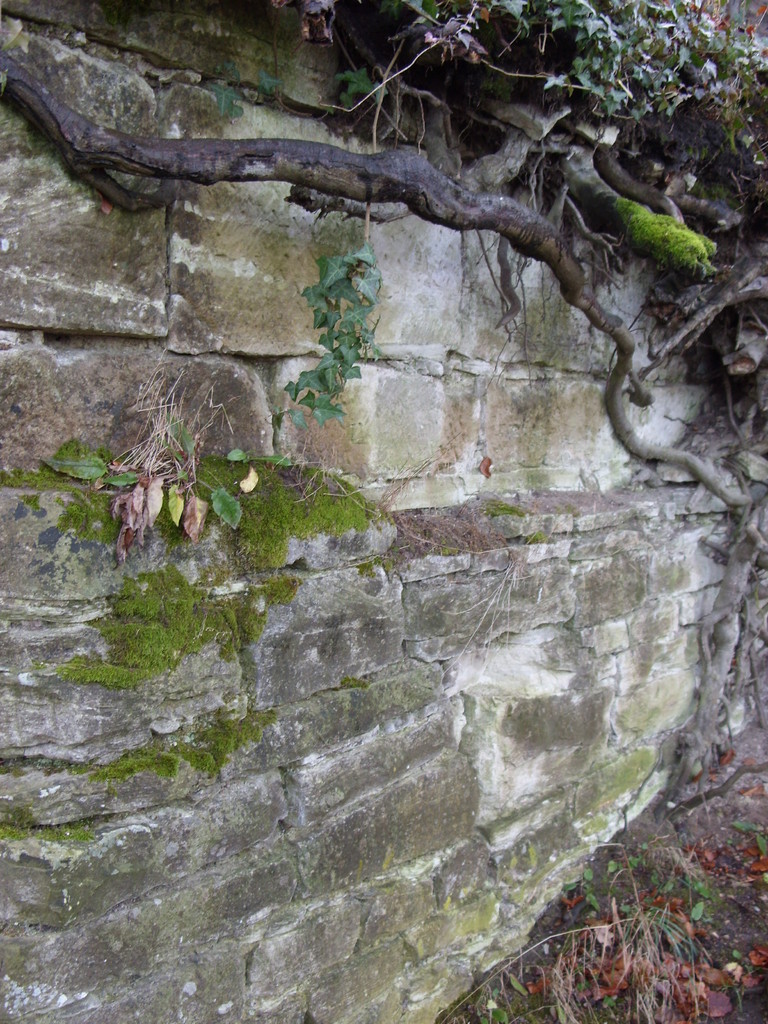 Mauerrest nordwestliche Ecke_1