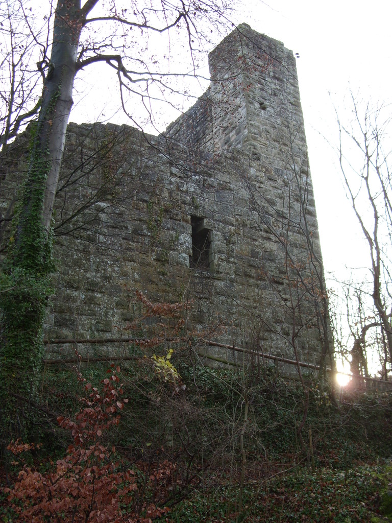 Burg mit Wohnbaufenster von West