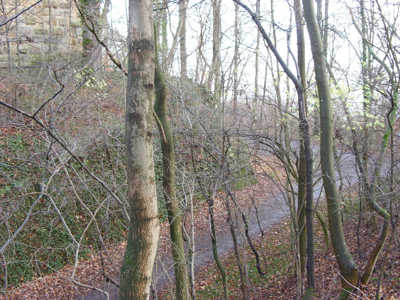 hinterer Halsgraben Ostecke