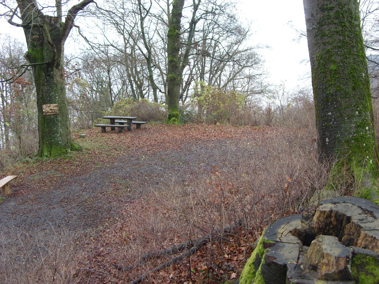 Burggarten, Nordseite